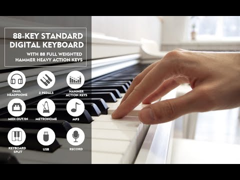 video Mustar Digital Piano Review