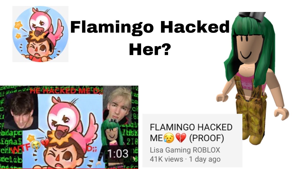 Did Flamingo Hack Lisa