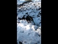 Faire le pied sur la neige