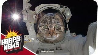 Astronauten-Mädchen & Die Rückkehr des Katers! - HAPPY NEWS