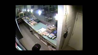 Royal Newfoundland Cnstabulary Armed Robbery Investigation 2013-36288