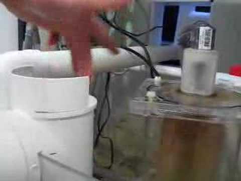 diy filter sock holder pvc a cheap and cool way to hang your aquarium socks diy filter sock holder pvc a cheap and cool way to hang your aquarium socks