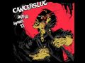 Cat in the Brain - Cancerslug