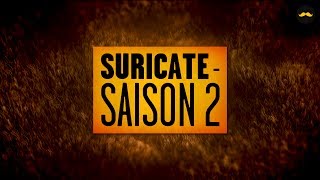 SURICATE - Saison 2