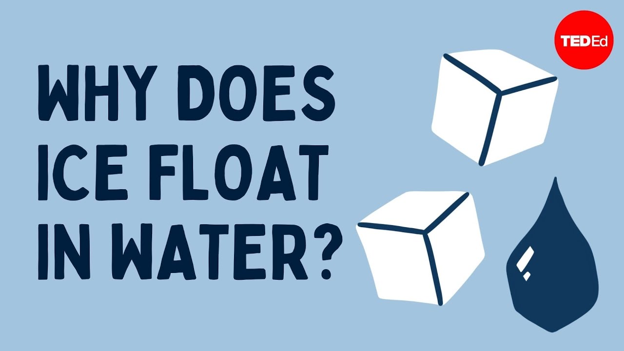 Why does ice float in water? Zaidan and Charles Morton YouTube