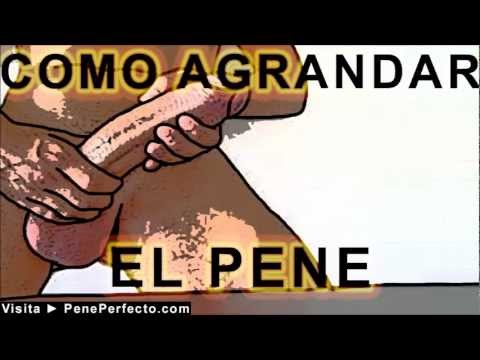 Aumentar el miembro la ocupación