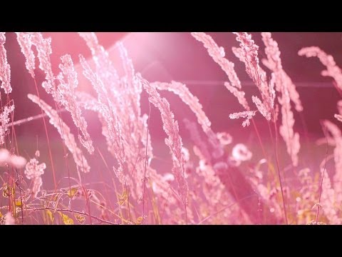 MUSICA ROMANTICA DE AYER EN VIVO musica romantica de ayer en vivo: