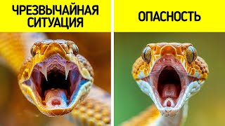 Знание этих правил — ваш шанс выжить в любой экстремальной ситуации