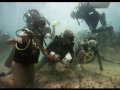 Couple sets underwater wedding world record