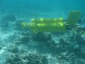Starbug AUV