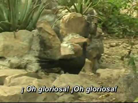 HIMNO REGION LAMBAYEQUE himno region lambayeque: