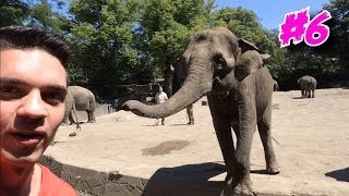 Mert Peinlich im Tierpark