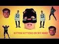 The Cat Rap (I Got Kittens On My Mind) - Thirty100