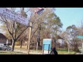 The Dead Zone: Detroit Becomes Urban Wasteland - CBN.com