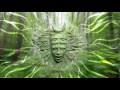 Progressive Psy Trance Mix 6 2011