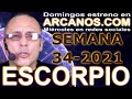 Video Horscopo Semanal ESCORPIO  del 15 al 21 Agosto 2021 (Semana 2021-34) (Lectura del Tarot)