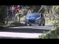 49° Rally del Friuli 2013 - Andreucci on the limit