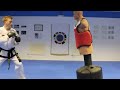 Taekwondo Kicking and Training Sampler on the BOB XL