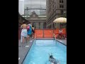 Dumpster Pool on Park Avenue