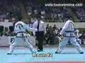 Taekwondo Fantastic Kick