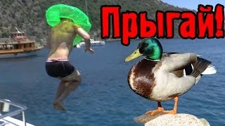 Фрост Прыгает с Яхты - Морские Волки - №4