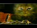 Anne Bonnevie - Peintre animalier
