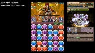 パズドラ「大泥棒参上！超地獄級」霊護の白虎・ハク12.25倍PTノーコン攻略