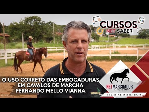 USO CORRETO DE EMBOCADURAS EM CAVALOS DE MARCHA COM FERNANDO MELLO VIANNA