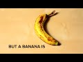 Totally Useless But Awesome Facts You Need To Know