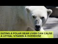 Totally Useless But Awesome Facts You Need To Know