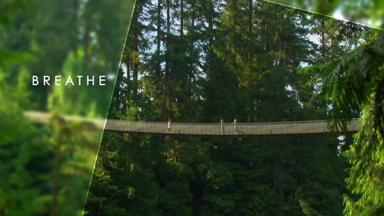Capilano suspension bridge discount coupons