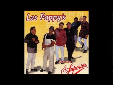 Estúpido tía Estúpido tía