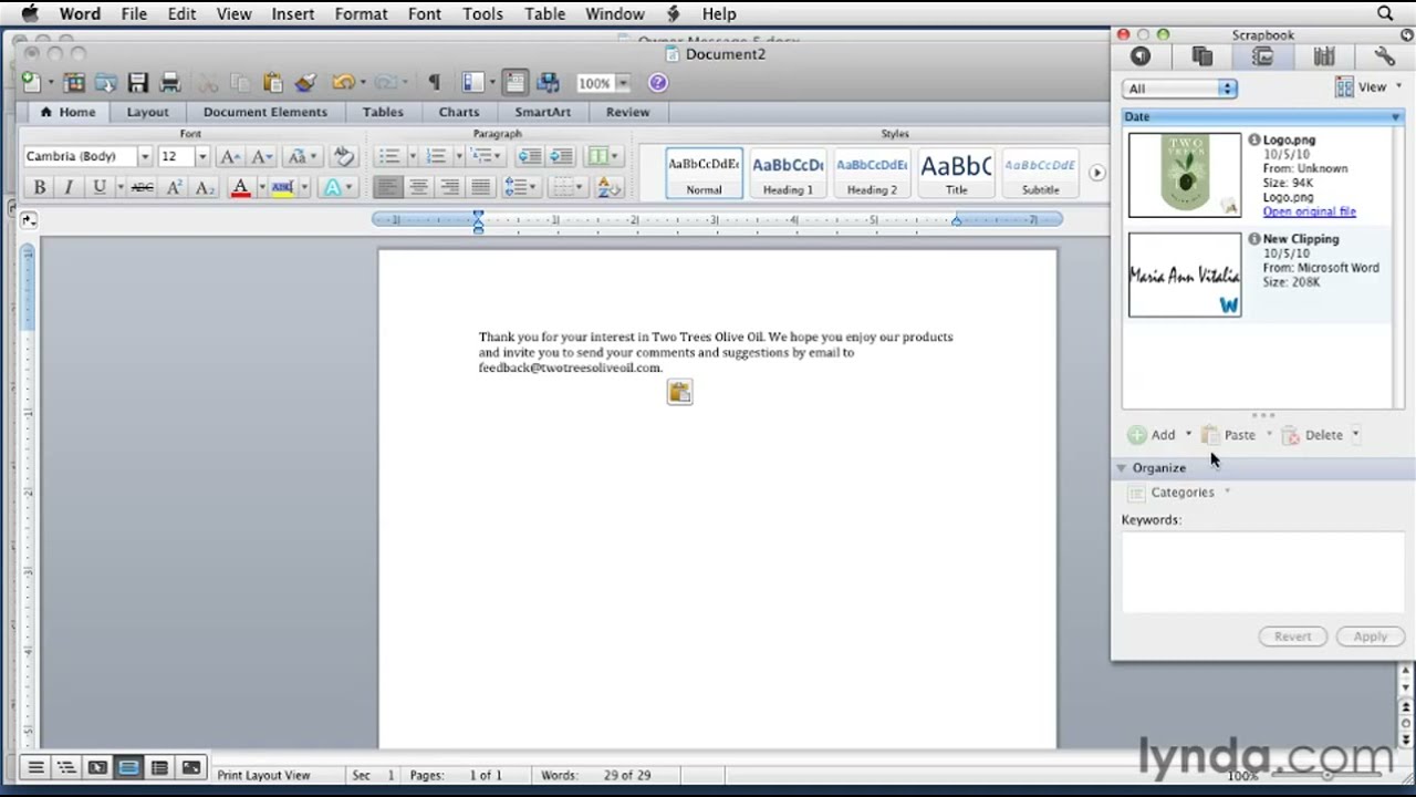 Microsoft Word How to use the Scrapbook tutorial YouTube