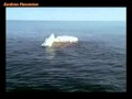 The Iceberg That Sank The Titanic P5