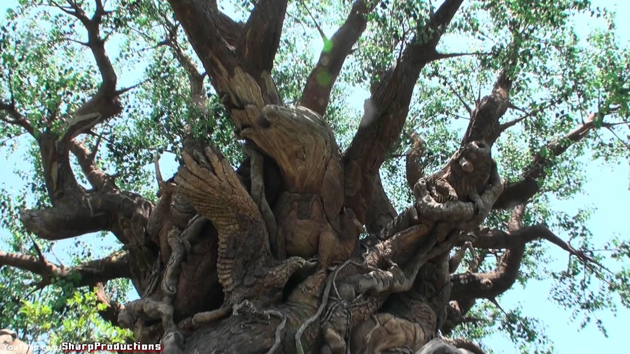 Tree of Life (Walk-Through) Disney's Animal Kingdom - Walt Disney World