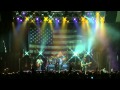 Cat Scratch Fever (live)