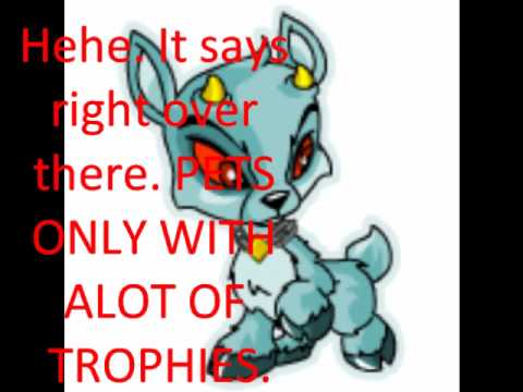 Neopets Bullied