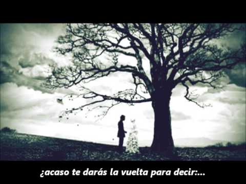 MY CHEMICAL ROMANCE LYRICS TRADUCIDA my chemical romance lyrics traducida: