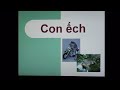 Vietnamese for baby - Giúp bé học tiếng Việt- bài 1: Con vật