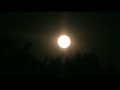 Obsessão clara por ti! -John Ondrasik - King of the Earth