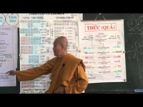 Vi Diệu Pháp - Sở Hữu Tà Kiến
