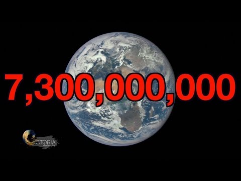 Overpopulation: Will we run out of space? BBC News