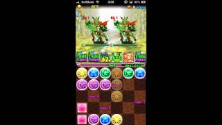 パズドラ【地の神秘龍】地獄級　王狼英雄・ノーブルクーフーリン×2