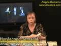 Video Horóscopo Semanal ARIES  del 4 al 10 Enero 2009 (Semana 2009-02) (Lectura del Tarot)