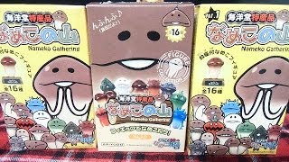 Nameko Gathering　海洋堂特産品なめこの山 「マッスルなめこを狙え！アゲイン☆」 PART1　食玩 開封動画