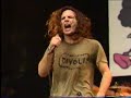 Pearl Jam Alive