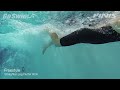 Freestyle - Straighter Leg Flutter Kick
