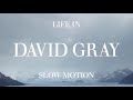David Gray -