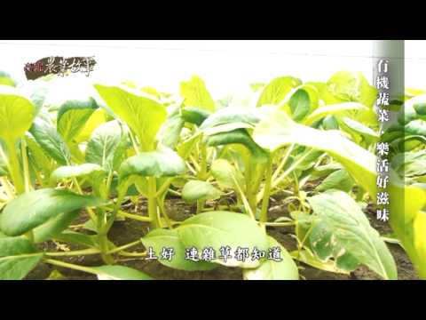 高雄農業故事館-蔬菜(影片長度:19分15秒) 高雄農業故事館-蔬菜(影片長度:19分15秒)