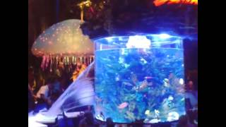 Aquarium at T-Rex Restaurant in Downtown Disney Breaks